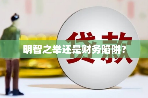 绥阳明智之举还是财务陷阱？