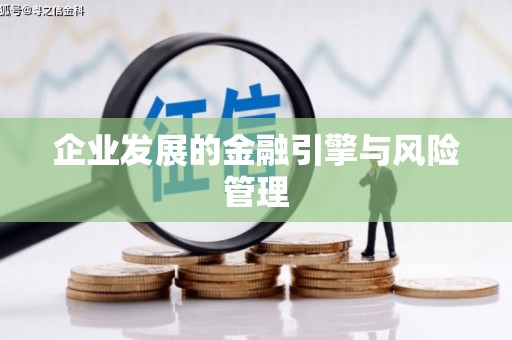 绥阳企业发展的金融引擎与风险管理