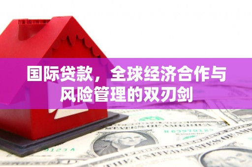 绥阳国际贷款，全球经济合作与风险管理的双刃剑