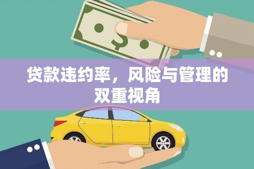绥阳贷款违约率，风险与管理的双重视角