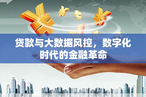 绥阳贷款与大数据风控，数字化时代的金融革命