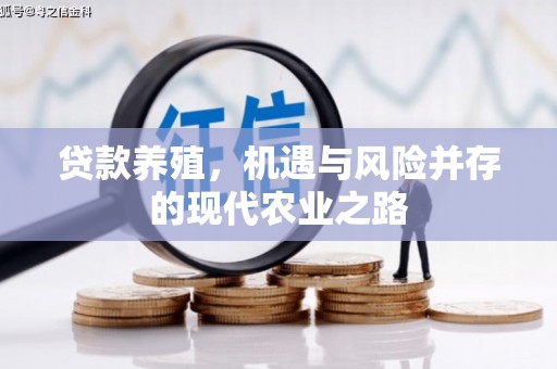 绥阳贷款养殖，机遇与风险并存的现代农业之路