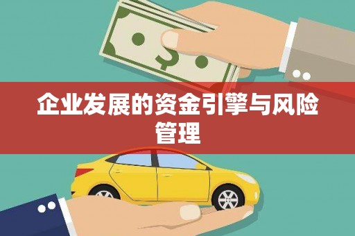绥阳企业发展的资金引擎与风险管理