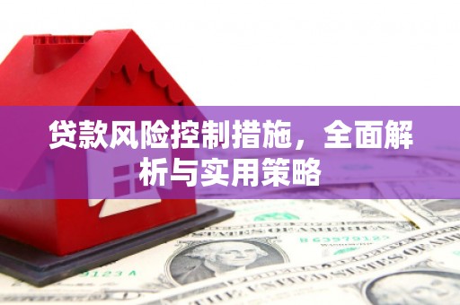 绥阳贷款风险控制措施，全面解析与实用策略