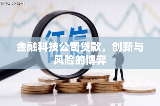 绥阳金融科技公司贷款，创新与风险的博弈