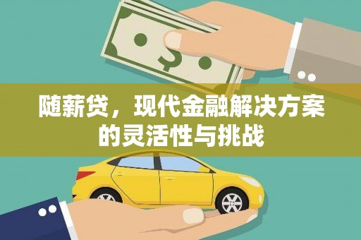 绥阳随薪贷，现代金融解决方案的灵活性与挑战