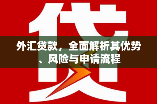 绥阳外汇贷款，全面解析其优势、风险与申请流程
