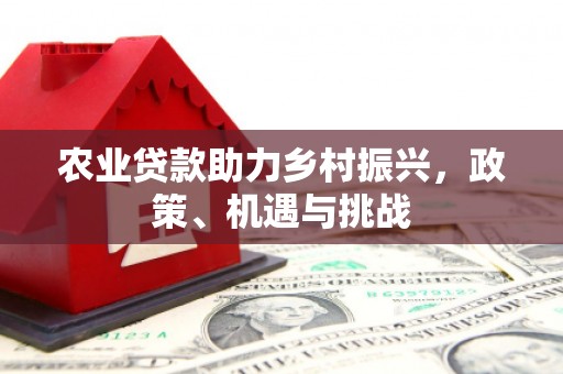 绥阳农业贷款助力乡村振兴，政策、机遇与挑战