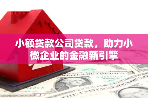 绥阳小额贷款公司贷款，助力小微企业的金融新引擎