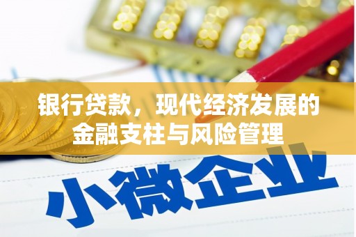 绥阳银行贷款，现代经济发展的金融支柱与风险管理
