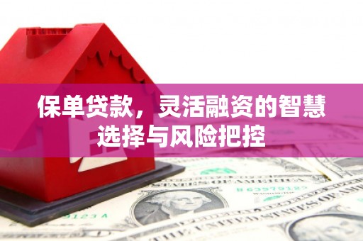 绥阳保单贷款，灵活融资的智慧选择与风险把控