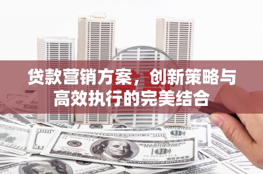 绥阳贷款营销方案，创新策略与高效执行的完美结合