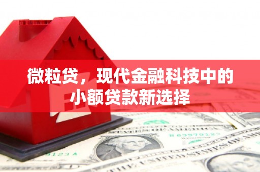 绥阳微粒贷，现代金融科技中的小额贷款新选择