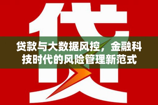 绥阳贷款与大数据风控，金融科技时代的风险管理新范式