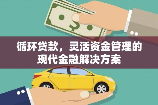 绥阳循环贷款，灵活资金管理的现代金融解决方案
