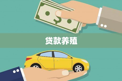 绥阳贷款养殖