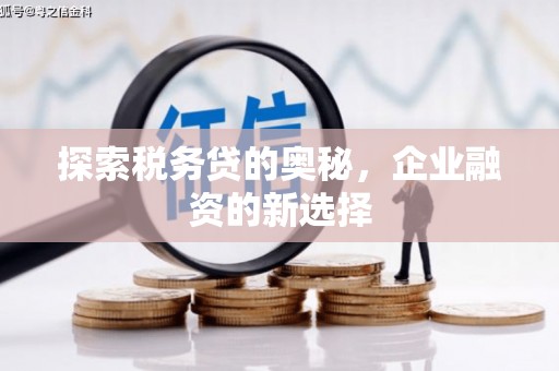 绥阳探索税务贷的奥秘，企业融资的新选择