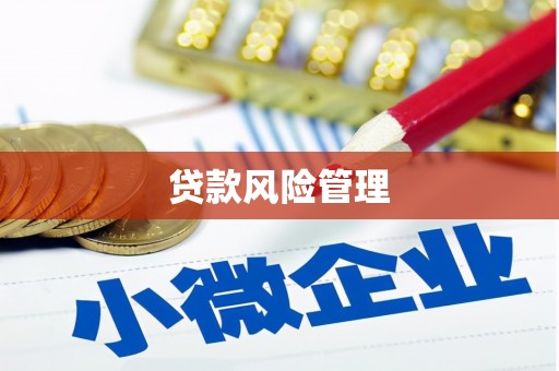绥阳贷款风险管理