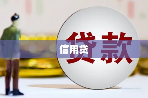 绥阳信用贷