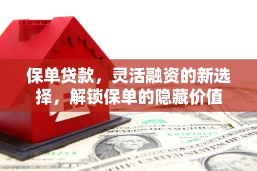 绥阳保单贷款，灵活融资的新选择，解锁保单的隐藏价值