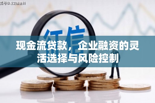 绥阳现金流贷款，企业融资的灵活选择与风险控制