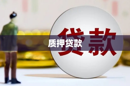 绥阳质押贷款