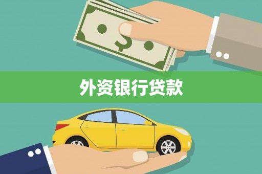 绥阳外资银行贷款