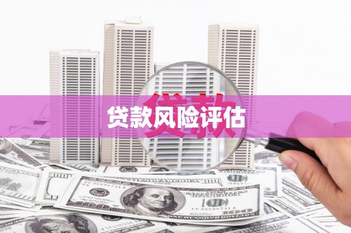 绥阳贷款风险评估