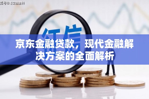 绥阳京东金融贷款，现代金融解决方案的全面解析
