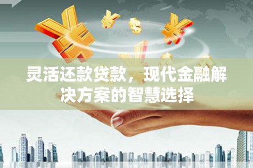 绥阳灵活还款贷款，现代金融解决方案的智慧选择