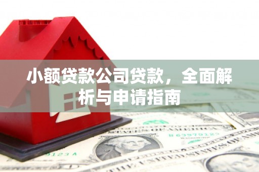 绥阳小额贷款公司贷款，全面解析与申请指南