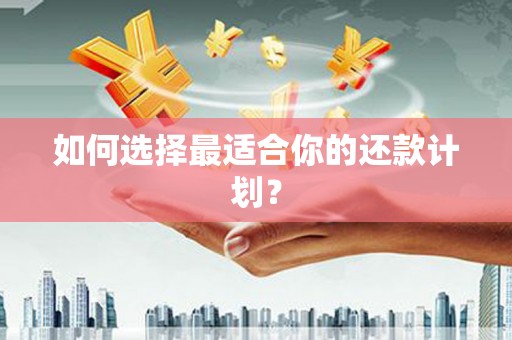 绥阳如何选择最适合你的还款计划？