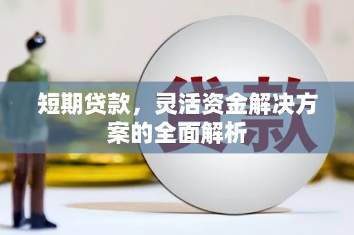 绥阳短期贷款，灵活资金解决方案的全面解析