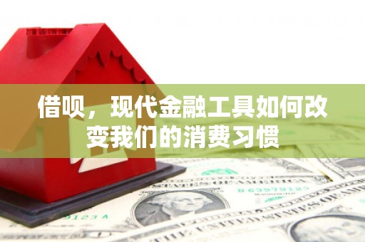 绥阳借呗，现代金融工具如何改变我们的消费习惯