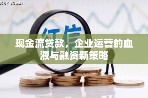 绥阳现金流贷款，企业运营的血液与融资新策略