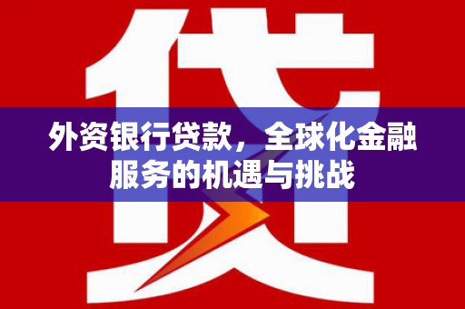绥阳外资银行贷款，全球化金融服务的机遇与挑战
