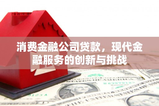绥阳消费金融公司贷款，现代金融服务的创新与挑战