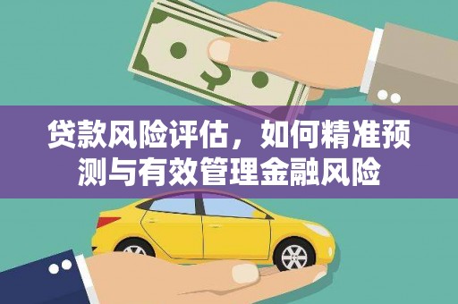 绥阳贷款风险评估，如何精准预测与有效管理金融风险