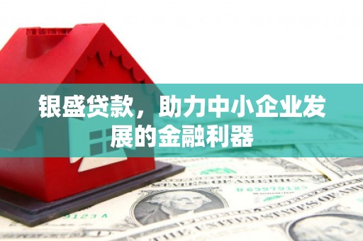 绥阳银盛贷款，助力中小企业发展的金融利器