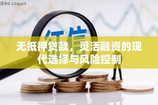 绥阳无抵押贷款，灵活融资的现代选择与风险控制