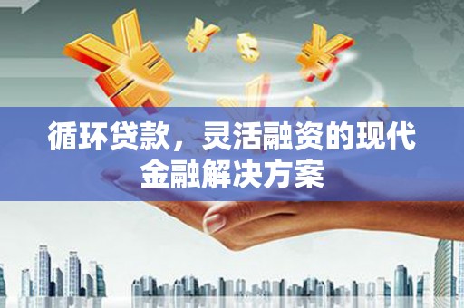 绥阳循环贷款，灵活融资的现代金融解决方案