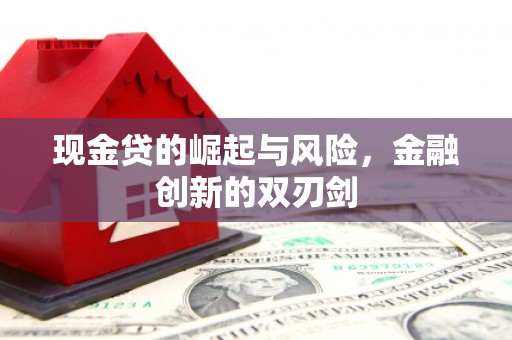 绥阳现金贷的崛起与风险，金融创新的双刃剑
