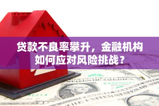 绥阳贷款不良率攀升，金融机构如何应对风险挑战？