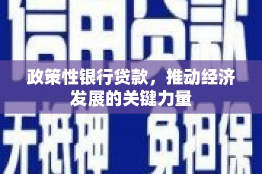 绥阳政策性银行贷款，推动经济发展的关键力量
