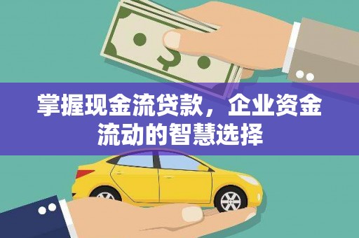 绥阳掌握现金流贷款，企业资金流动的智慧选择