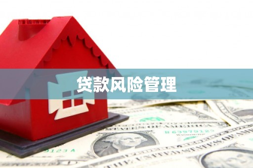绥阳贷款风险管理