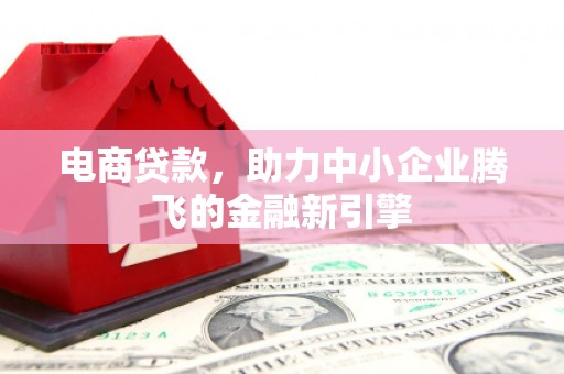 绥阳电商贷款，助力中小企业腾飞的金融新引擎
