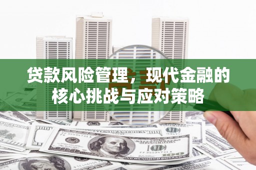 绥阳贷款风险管理，现代金融的核心挑战与应对策略