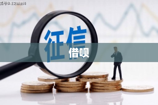 绥阳借呗