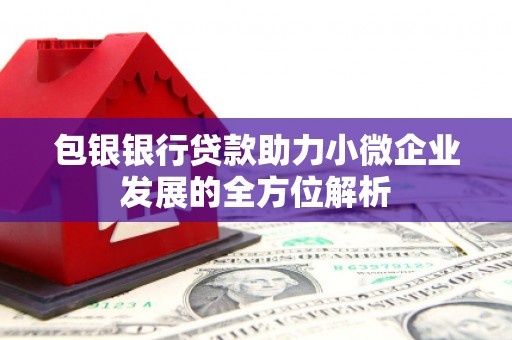 绥阳包银银行贷款助力小微企业发展的全方位解析